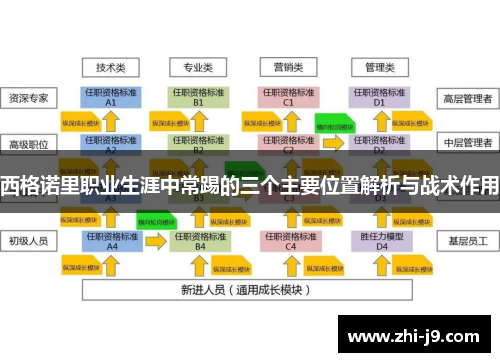 西格诺里职业生涯中常踢的三个主要位置解析与战术作用