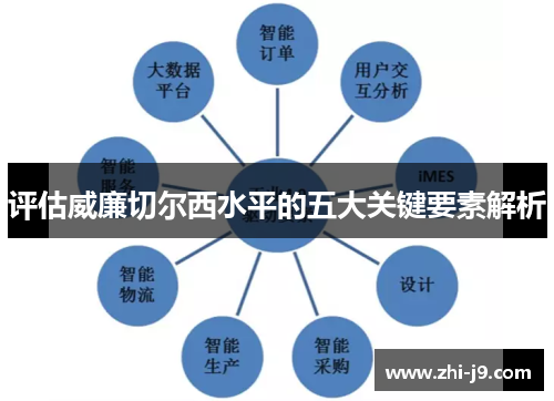 评估威廉切尔西水平的五大关键要素解析 评估威廉切尔西水平的五大关键要素解析